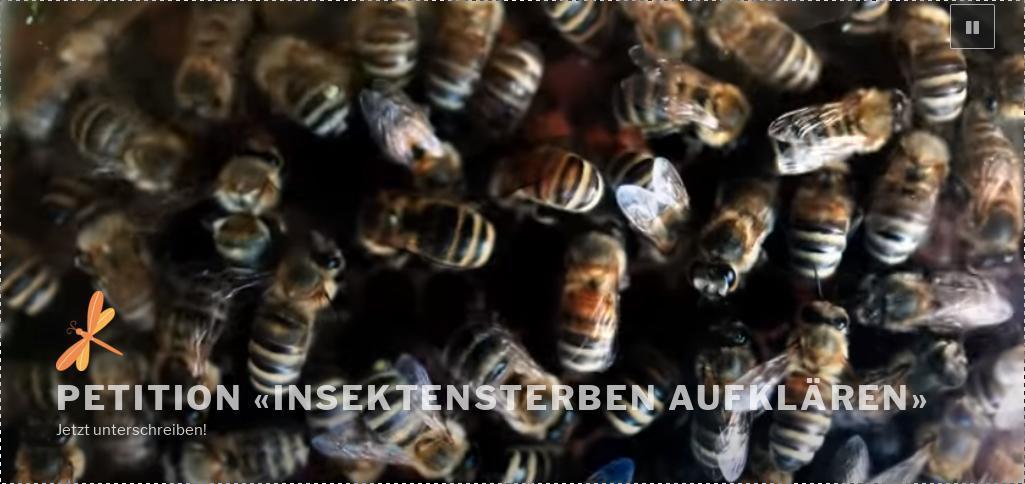 Bild/Foto